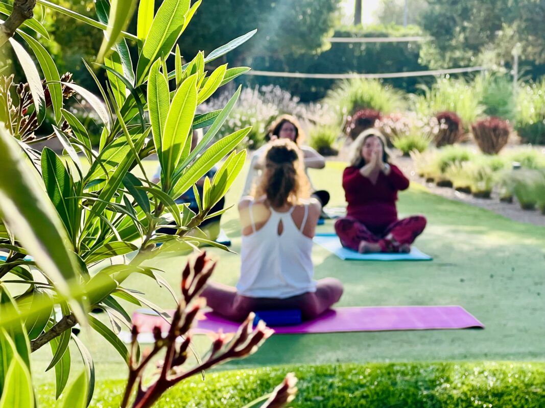 Drei Frauen sitzen auf Yogamatten im Garten und meditieren, umgeben von grünen Pflanzen und Bäumen, im weichen Sonnenlicht.